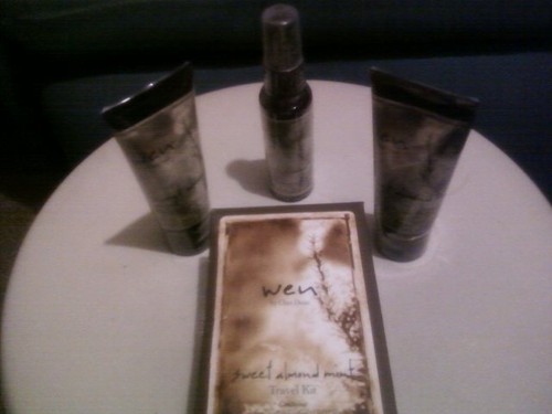 WEN Sweet Almond Mint Travel Kit - Picture 2 of 3
