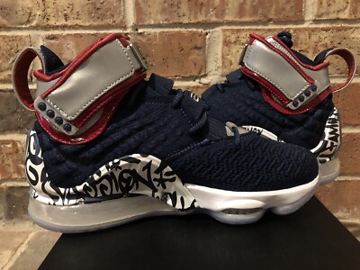 NIKE LEBRON 17 FP 27cm グラフィティー LeBron 17 FP - Graffiti Remix