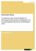 La RelacióN Entre El Nivel Salarial Y El DesemepeñO Laboral De Los...