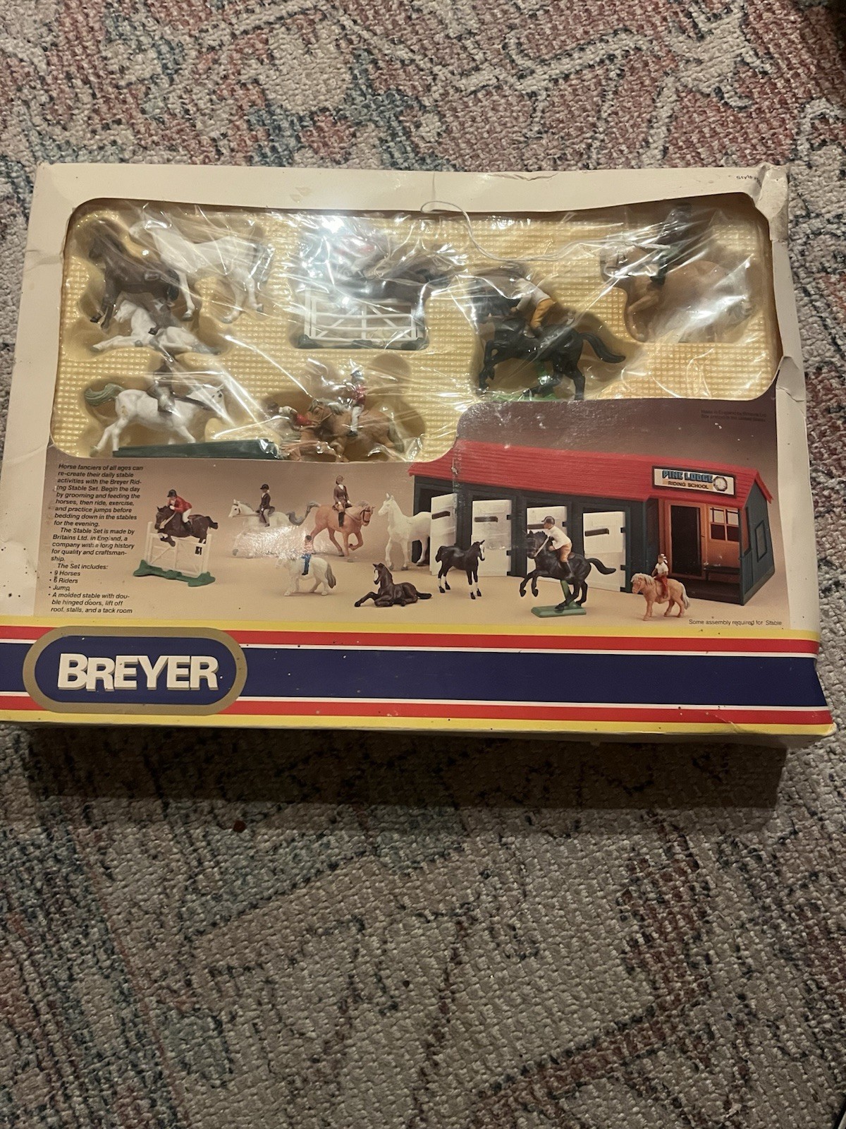 Foto 1 di 7
