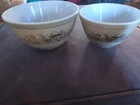 Pyrex Forest Fancies Mushroom Nesting Mixing Bowls 401 & 402