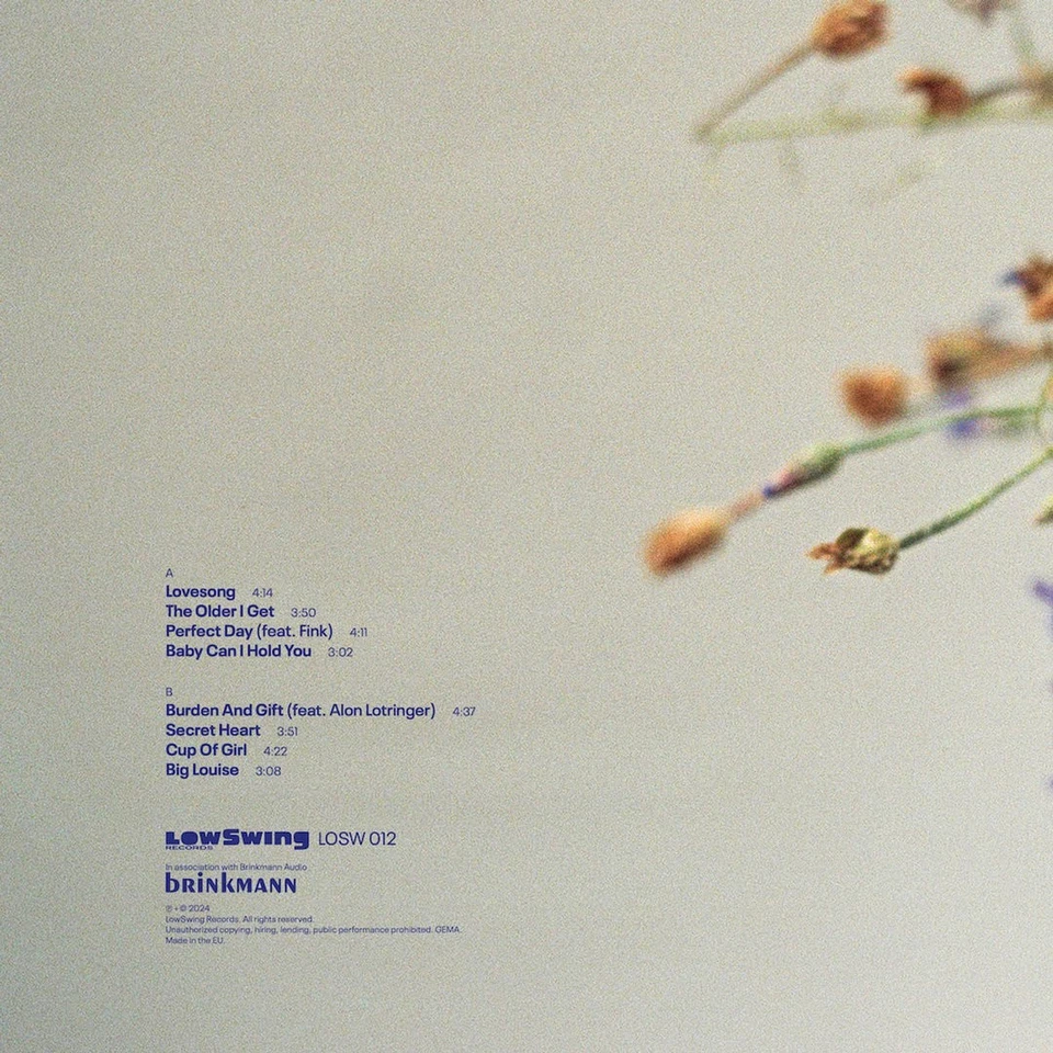 LOW SWING RECORDS LOSW-012-45 LORI LIEBERMAN PERFECT DAY 2024 LP - Bild 2 von 4