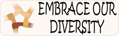 10X3 Embrace Our Diversity Magnet Vinyl Magnetic Vehicle Bumper Magnets Decal