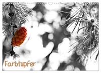 "Calendar 2027 · US Version · Splash Of Color (Wall Calendar 2027 17\" × 12\" Lands"