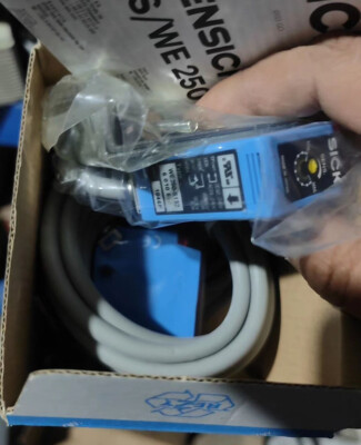 1Pcs New WS/WE250-S132 6010603 Fast transportation