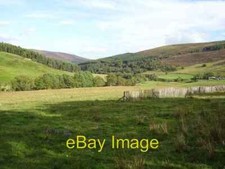 Photo 6x4 Snow fencing Balnaboth/NO3166 Chestnut paling fence for trappi c2006