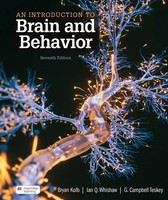 An Introduction To Brain And Behavior (International Edition) | Kolb (U. A.)