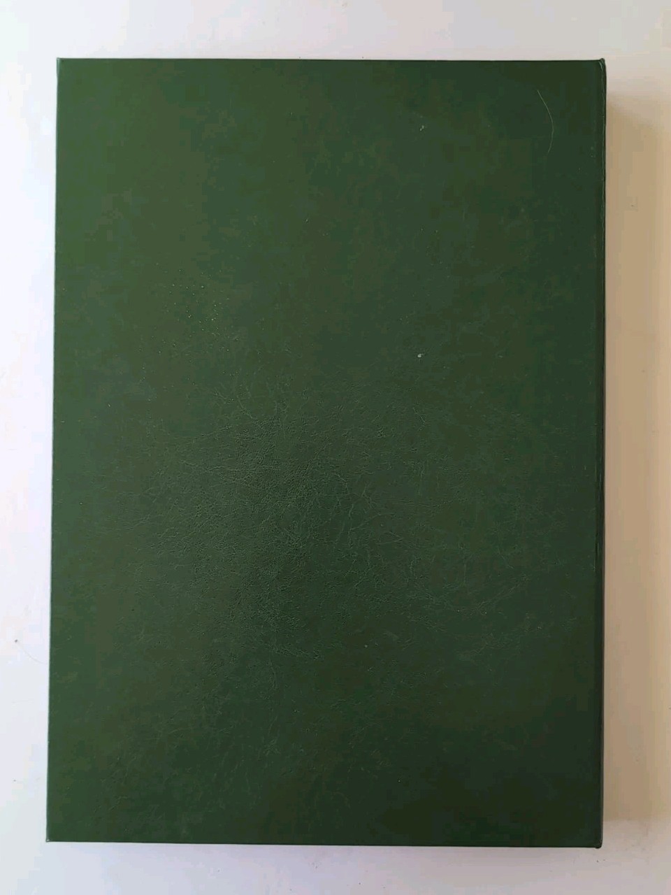 Foto 11 di 11