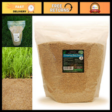 Premium Creeping Red Fescue Grass Seed - 3lb, Oregon Grown, No Fillers, Shade To