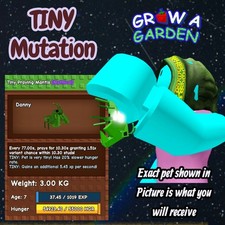 TINY Praying Mantis. Age/Weight Shown In Photo. Grow A Garden. Same Day