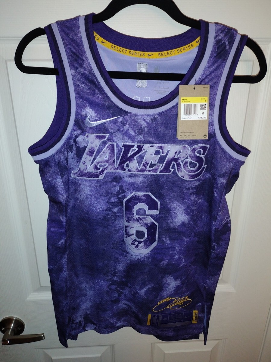 Lebron James LA Lakers Nike Select Series Jersey #6 FD4093-580
