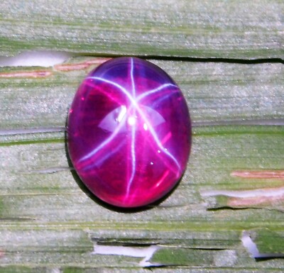 7.15 Ct Natural Red Star Ruby Cabochon Cut CERTIFIED Loose Gemstone 6 Rays !