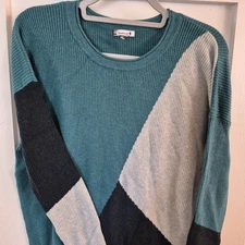 Smartwool Xl  Color Blocked Intarsia Rib Sweater in Everglade Heather