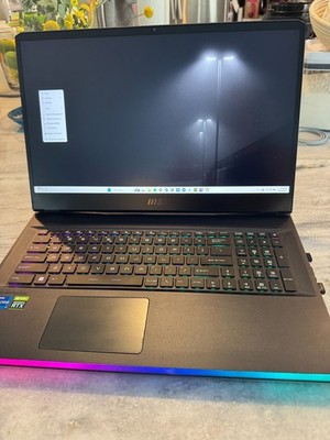 MSI GE76 Raider 11UE 17.3  144Hz Gaming Laptop i7-11800H RTX 3060 16GB 1TB SSD