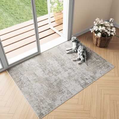 Modern Rug 2x3 Door Mat Entryway Area Rug Entrance 2'x3' Abstract