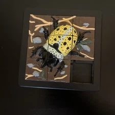 VINTAGE 1993 DAMERT 3D PUZZLE 8 PIECE BEETLE SCARAB RARE SLIDING PUZZLE 4x4”