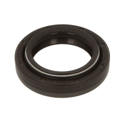 Element, Common-Rail Pumpe VDO DIESEL A2C5325205380