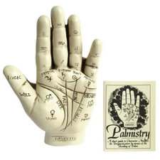 NEW Palmistry Hand Model Resin Sculpture w/ Booklet Fortune Telling Palm Reading