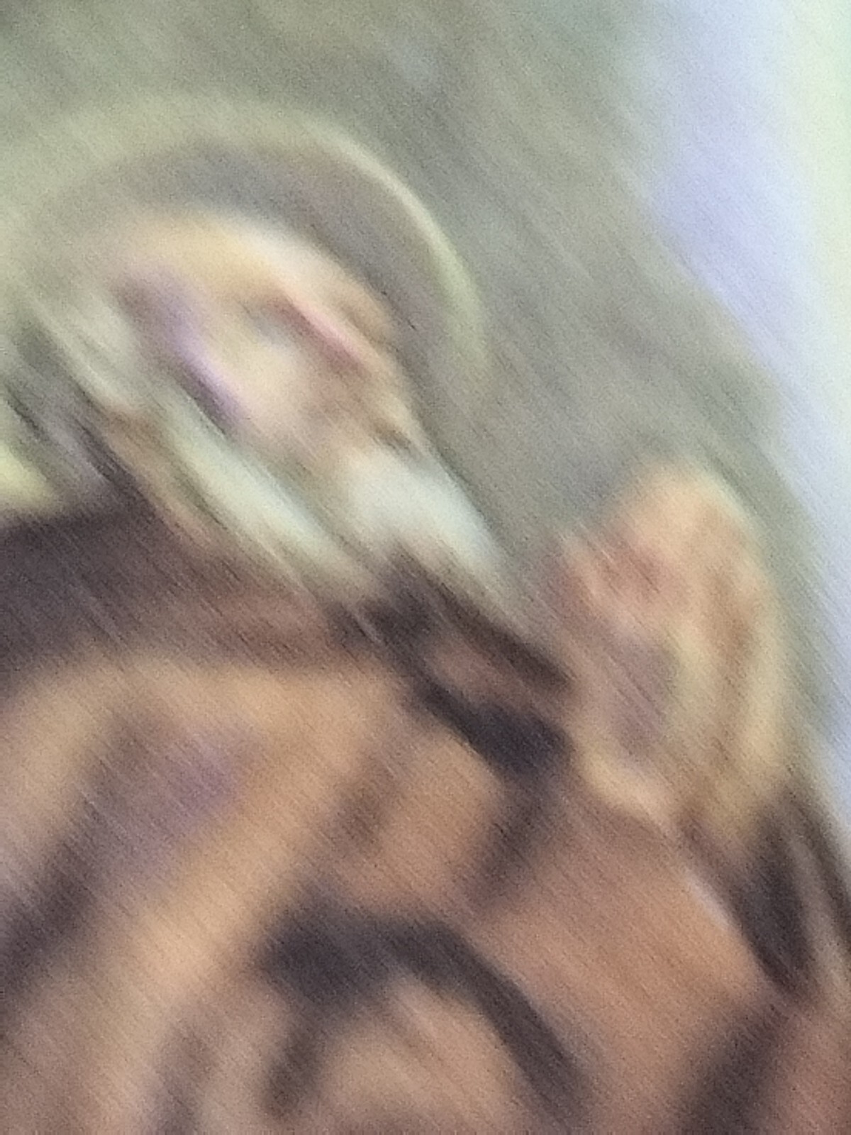 Bild 8 von 11