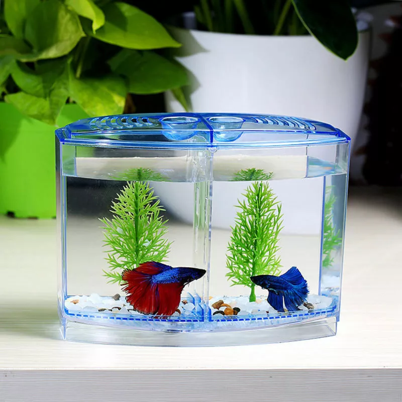 Fighting Betta Fish Tank Kit Aquarium Home Decor 2-Compartment Small Fish  Tank