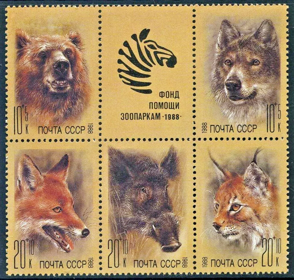 Foto 1 di 1