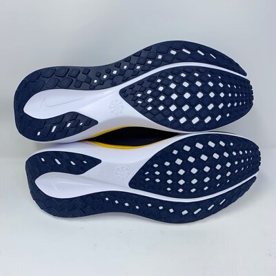 【hxxoxxvx27】　US7.5 Nike Zoom Pegasus 41 Michigan Wolverines Blue Sneakers, Size