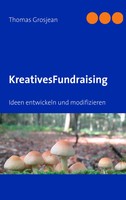 Kreatives Fundraising Ideen Entwickeln Und Modifizieren Thomas Grosjean Buch