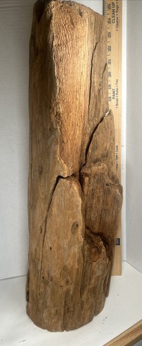 Driftwood Taxidermy Beach Lake Mountain House Wedding Reception Aquarium