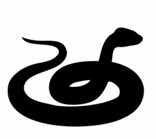 6.8" X 4.8" Snake Vinyl Decal Sticker for Car Bumper Truck Door Home Window Wall