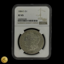  on The Hot Collector