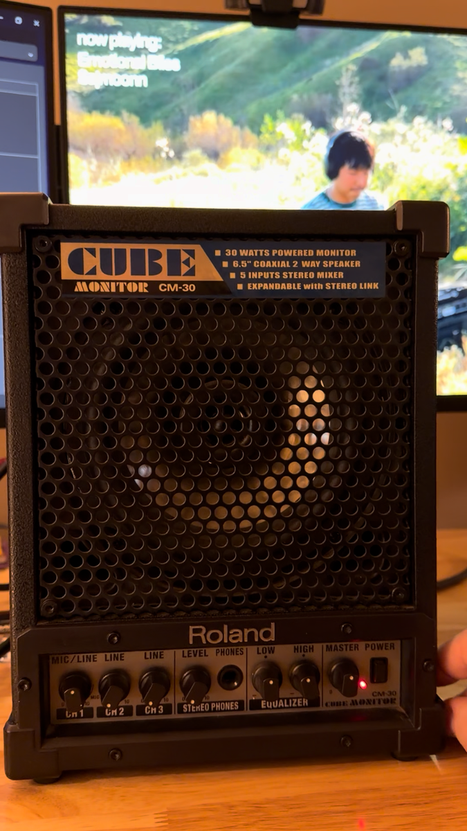 Roland CM-30 CUBE Monitor 30W 6.5