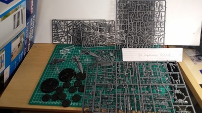 Warhammer 40k Eldar/Aeldari 600 Punkte Liste NOS