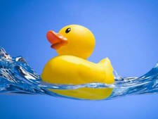 rubber ducky