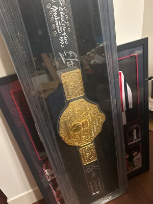 WCW World Heavyweight Championship Belt Signed Flair Goldberg Sting Nash N More