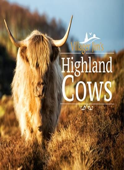 Villager Jim's Highland Cows,Villager Jim