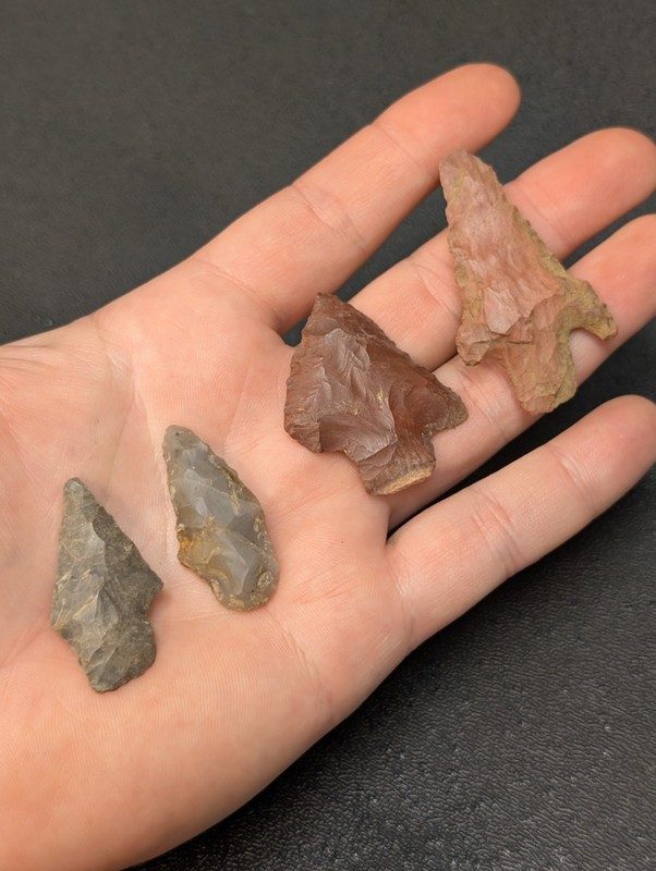 Group Of Arrowheads Artifacts from Lee County Mississippi #12