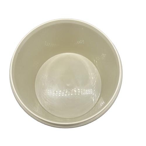 Almond Container #264-18 No lid Tupperware 6” Diameter 5” tall - Picture 3 of 7