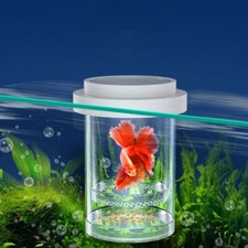 Floating Fish Breeding Isolation Box Aquarium Breeder Hatching Incubator Feeder