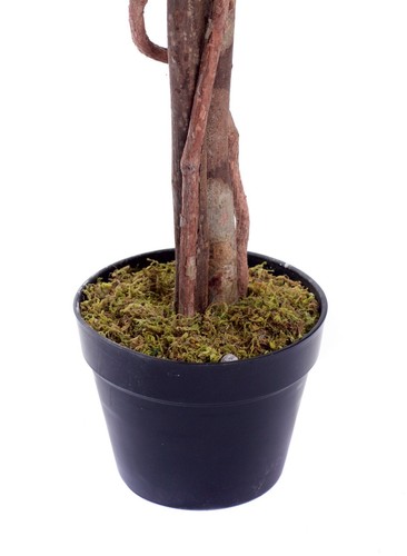 Mejor Artificial 4 pies 120 cm Rosa Flor Árbol Jardín Conservatorio Planta de Oficina Nuevo - Imagen 30 de 30