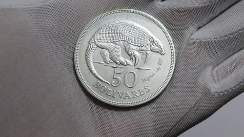 π§ π»πͺ VENEZUELA 50 BOLIVARES 1975 ARMADILLO SILVER WWF B84 #K3755 - Video 1 of 1