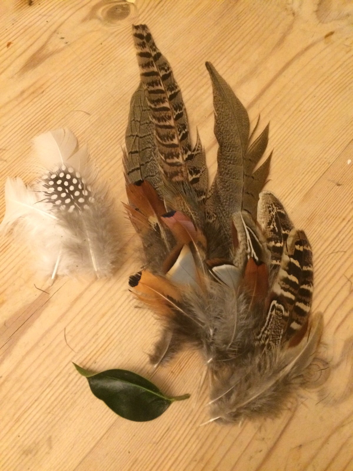Picture 1 of 4