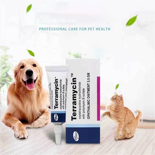 Eye Ointment Dog and Cat Eye Disease Topical Ointment Gentle Animal Eye