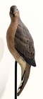 Life Size BRAD FALKINBURG VERTICAL MOURNING DOVE CARVING Wood Bird Sculpture  — photo 2