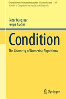 Peter BüRgisser (U. A.) | Condition | Taschenbuch | Englisch (2015) | Xxxi