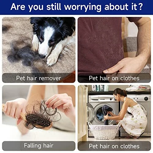 Will The Dryer Remove Dog Hair