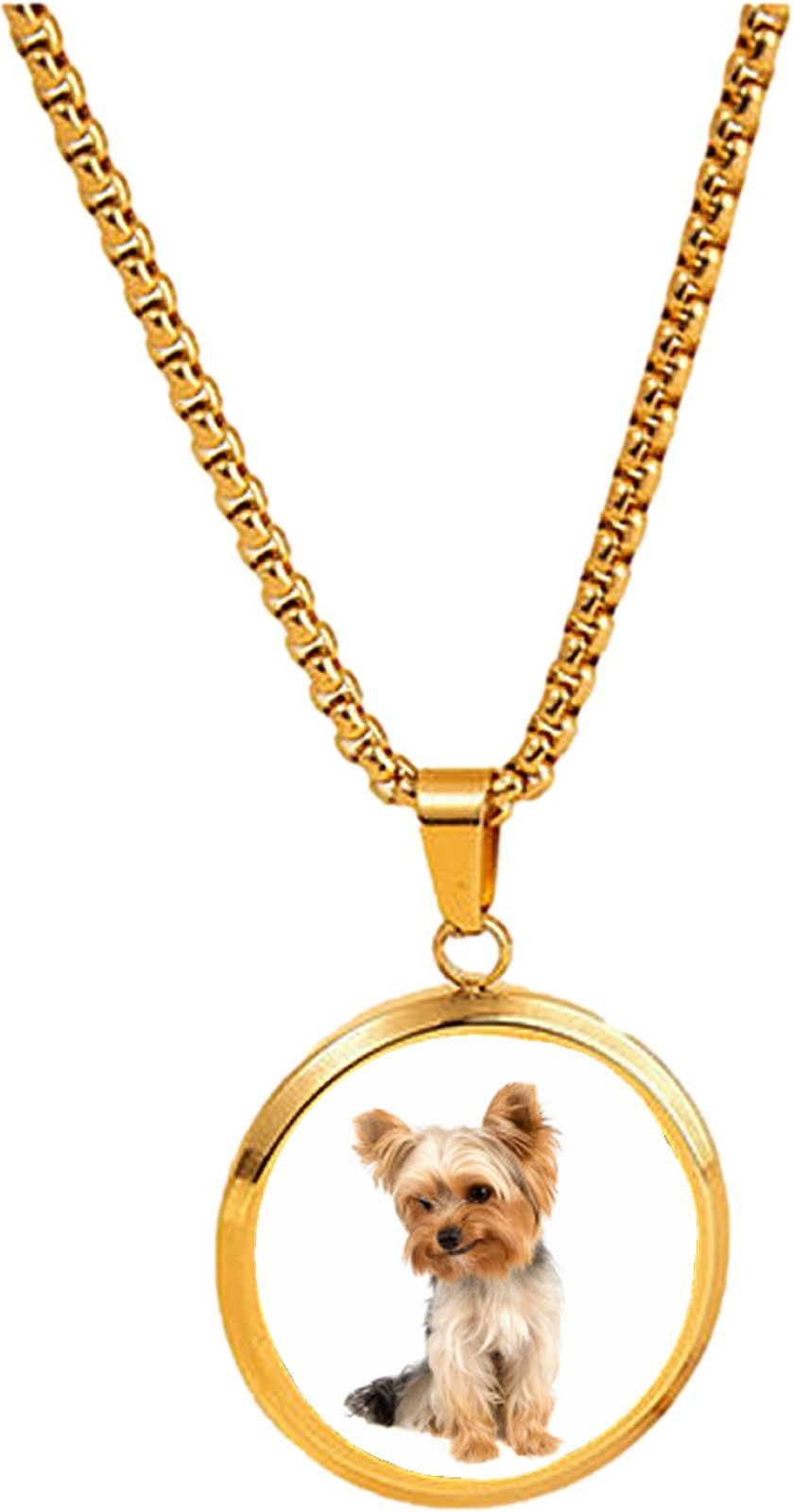 Yorkshire Terrier Dog Pet Family Gold Colour Necklace With Pendant And Gift Box