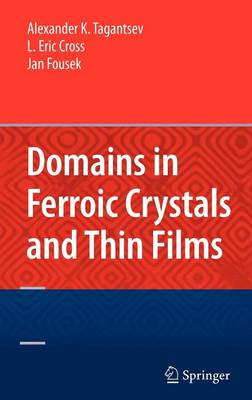 Domains in Ferroic Crystals and Thin Films - 9781441914163