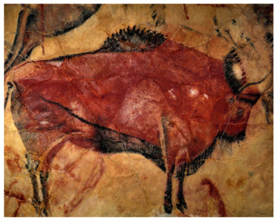 PREHISTORIC CAVE ART -  8''X10'' PHOTOGRAPH