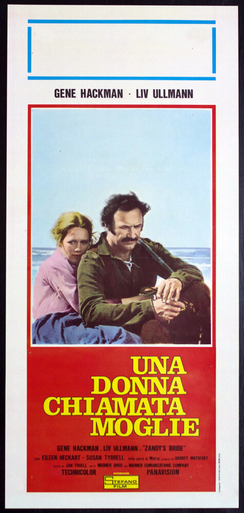 Locandina di Una donna chiamata moglie (1974)