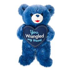 Sweetheart You Wrangled My Heart Teddy Bear Plush, Blue 14", Valentine's Day New